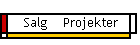 Salg Projekter